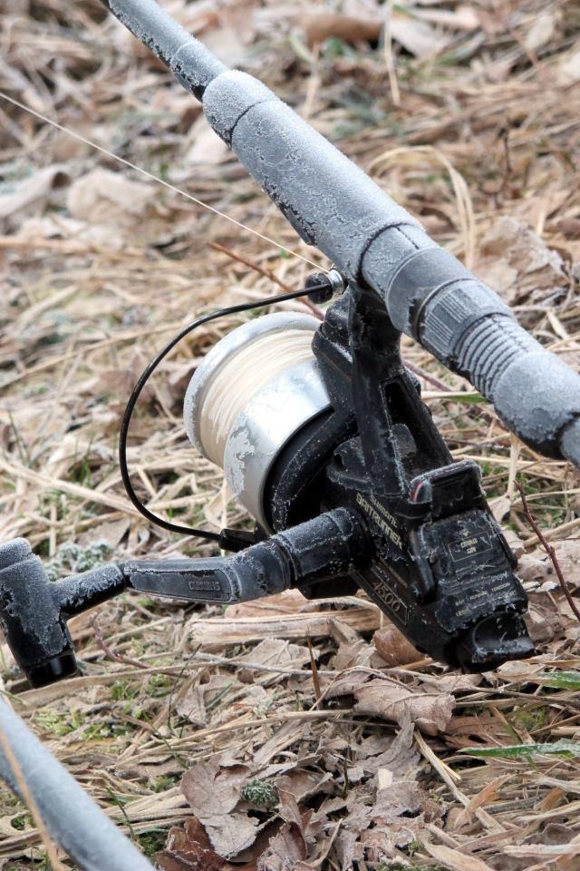 pescuitul+natura - 5355284177055383221541218396505n.jpg